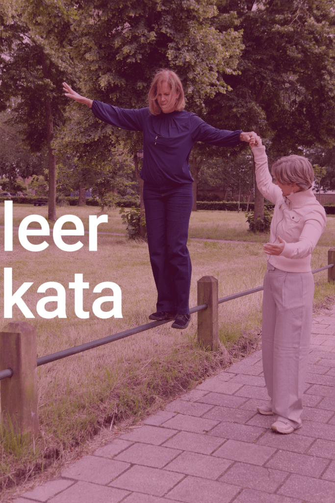 Leer toyota kata van een expert.